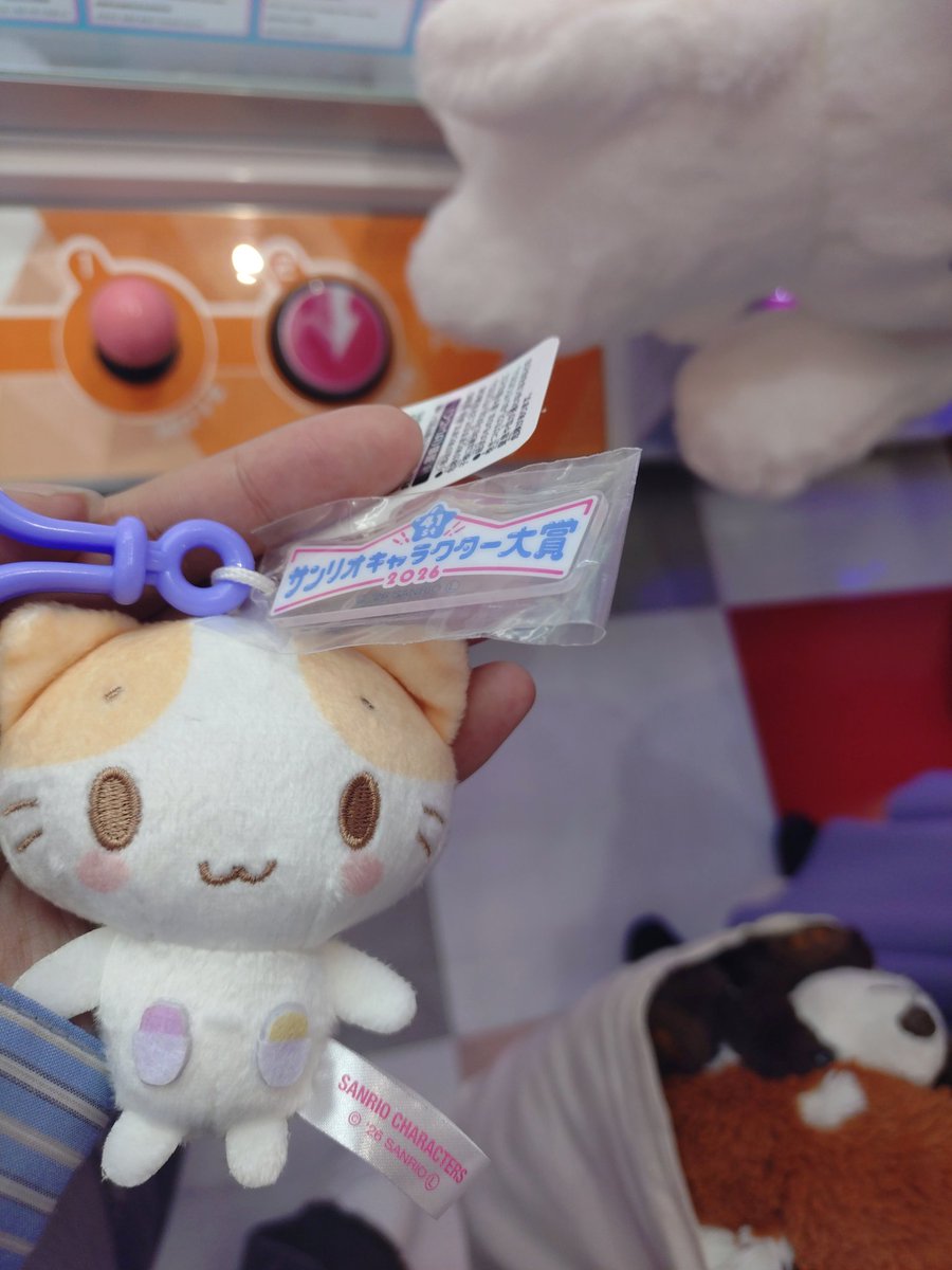 現金なし、キャッシュカード忘れで詰んでたらローアルパパが生活資金を削って取ってくれた(；；)