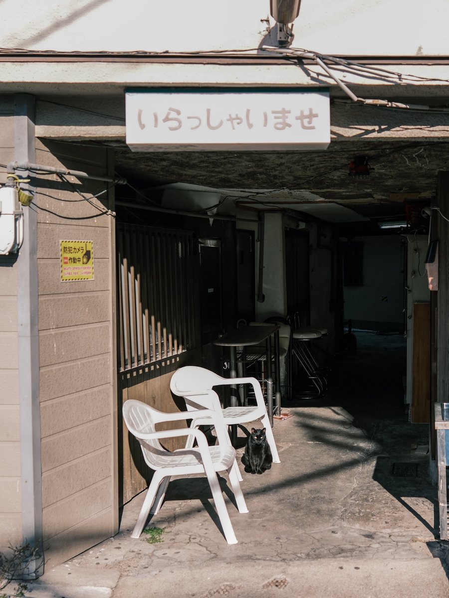 小林哲朗　写真家 tweet media