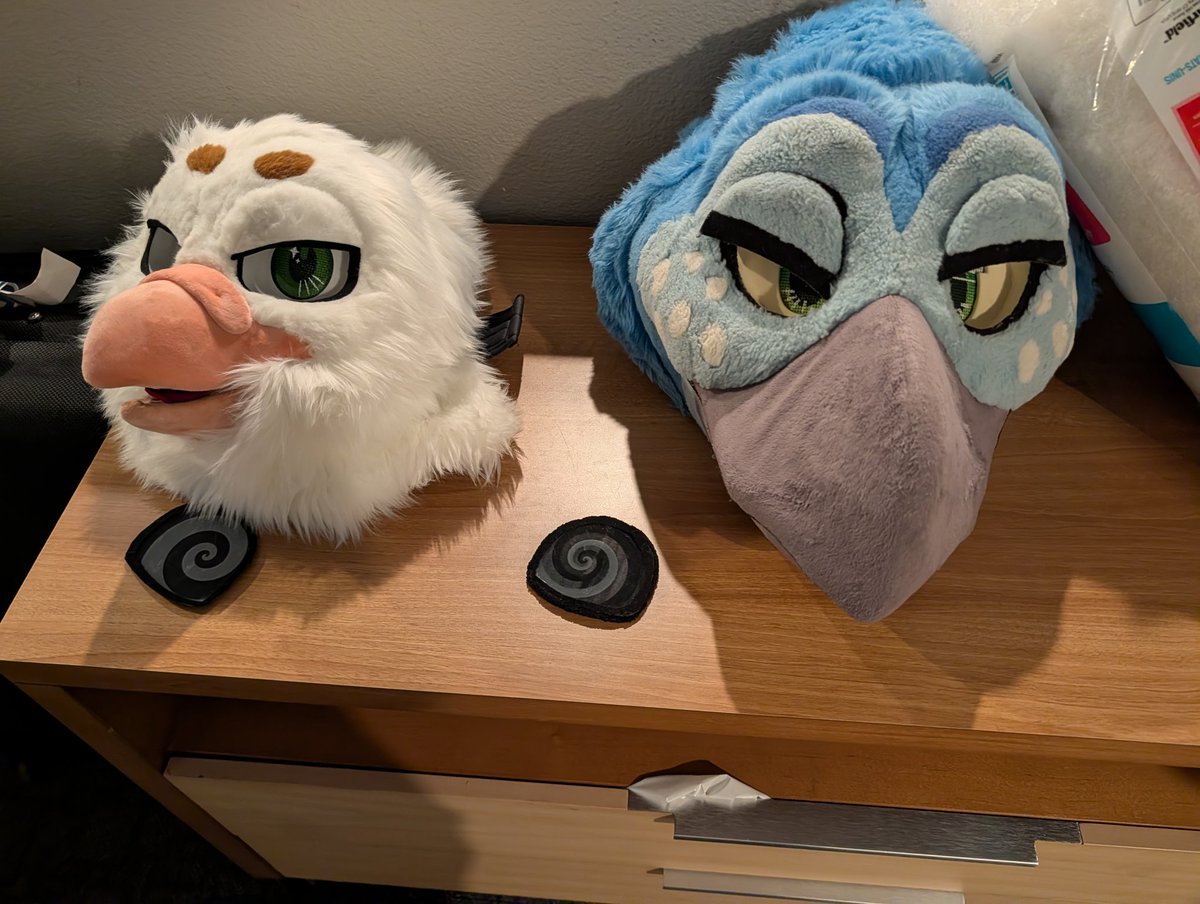 Feathers tweet media