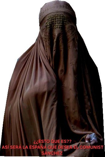 Los Maca MD tweet media