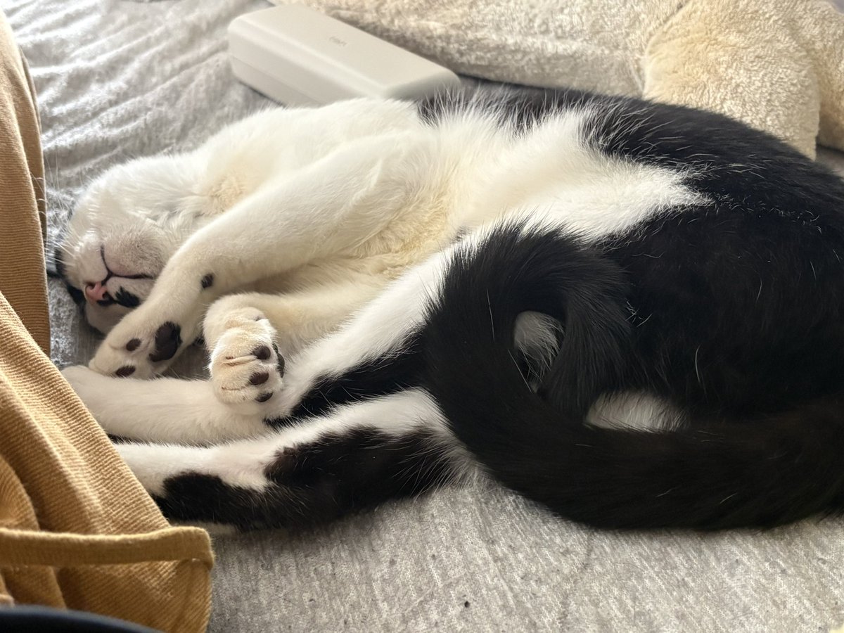 寝たり起きたり💤