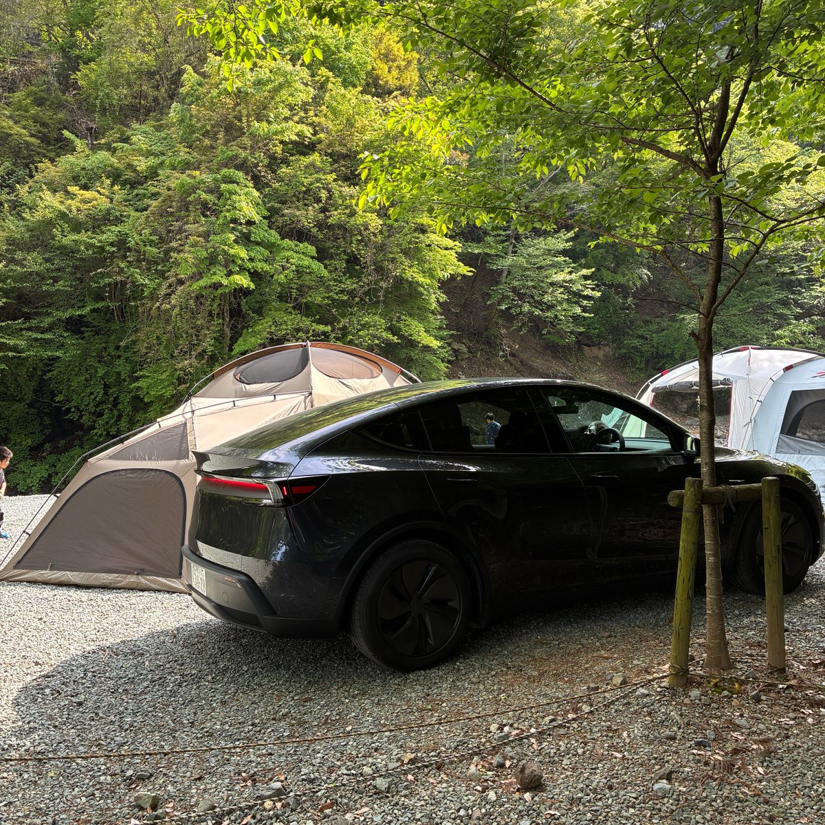 TeslaPaPa🇯🇵 MODEL Y Camper⛺️ tweet media