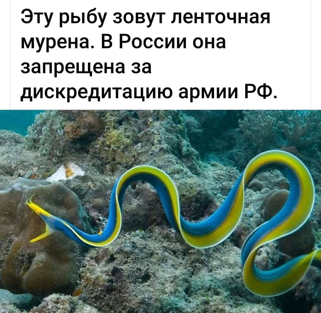 Andrey Smetanenko tweet media