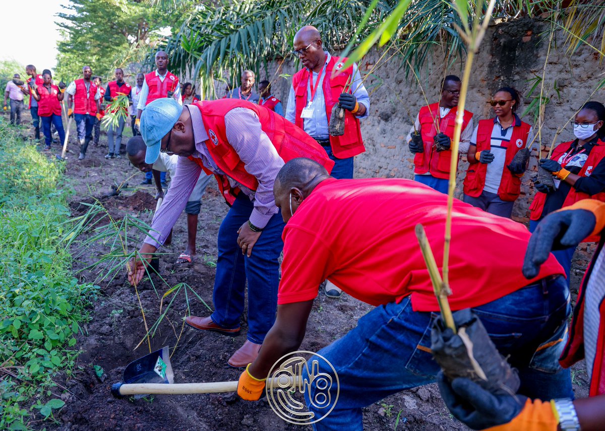 RTNBurundi's tweet photo. #Burundi : Protection de l’environnement
La Croix-Rouge du Burundi invite chacun à passer à l’action
Ce vendredi 24 avril 2026, la @croix_rougebdi a procédé à la plantation de bambous aux alentours de son centre de formation situé à #Ngagara, dans la ville de #Bujumbura.
Cette activité s’inscrit dans les initiatives de l’institution visant à promouvoir la protection de l’environnement et la préservation de la dignité humaine.
Le Secrétaire général de la @croix_rougebdi, Anselme Katiyungruza, a indiqué que cette activité a été menée en vue de protéger les infrastructures de ce centre de formation, étant donné que la protection de l’environnement constitue l’une de leurs priorités.
Il a expliqué que, depuis sa création, l’organisation a mis en place plusieurs programmes orientés vers la protection de l’environnement et la gestion des bassins versants, mais qu’elle a constaté ne pas avoir commencé par chez-elle.
Il a reconnu que l’organisation avait davantage concentré ses efforts sur les populations vulnérables, sans réaliser qu’elle pouvait également être concernée par cette vulnérabilité.
« Nous intervenions auprès des plus vulnérables, sans voir que nous pouvions, nous aussi, être concernés », a-t-il ajouté.
Face à cette prise de conscience, il a annoncé que les responsables de l’institution ont décidé de se mobiliser à cette action afin de donner l’exemple.
« Il est possible de commencer par protéger son propre environnement. Si chacun aménage son espace, comme nous le faisons aujourd’hui, tout le monde peut en bénéficier », a-t-il souligné.
Pour lui, le message est clair : chaque citoyen doit s’impliquer dans la protection de l’environnement.
L’activité a consisté notamment à planter des bambous autour du centre, une action jugée essentielle pour la protection du site et des populations environnantes.
Le Secrétaire général a salué cet engagement et a invité chacun à s’investir dans la protection de l’environnement, rassurant que cela portera des fruits pour le pays.