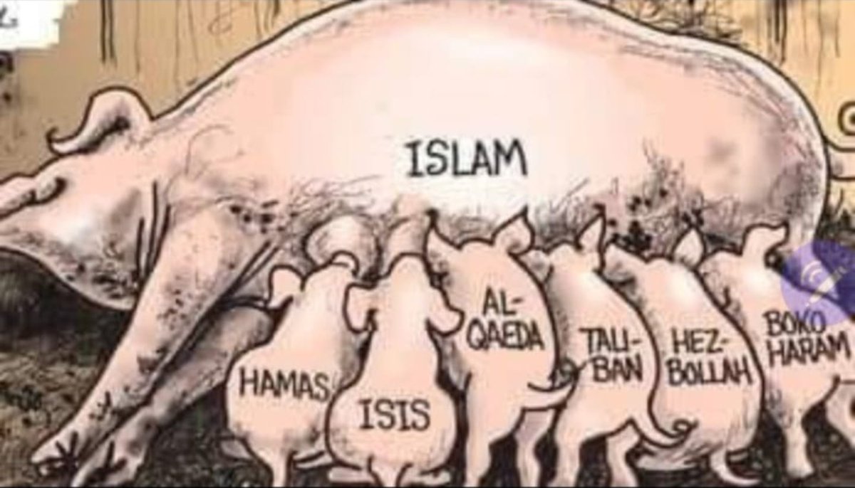 OLEG48AV tweet media