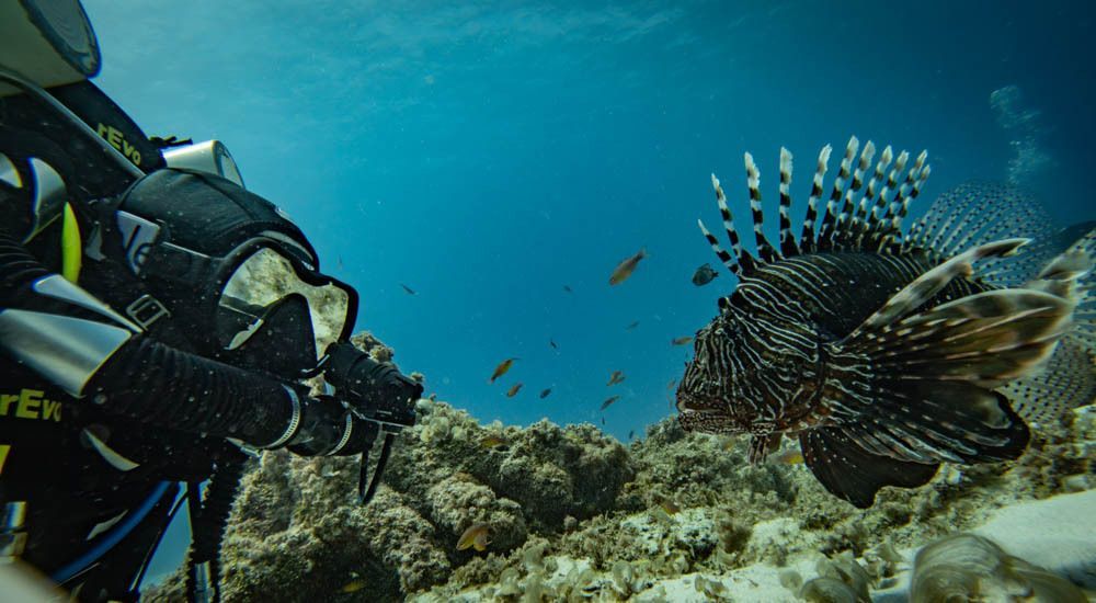 rEvoRebreathers's tweet photo. Thanks to Steven Galicia from Belgium for this wonderful #meandmyrEvo picture titled “Never stop making friends and life will be good”. Great title and could not agree more Steven!

Excellent photo, thanks for sharing 👌 https://t.co/U6mM1vqhJu