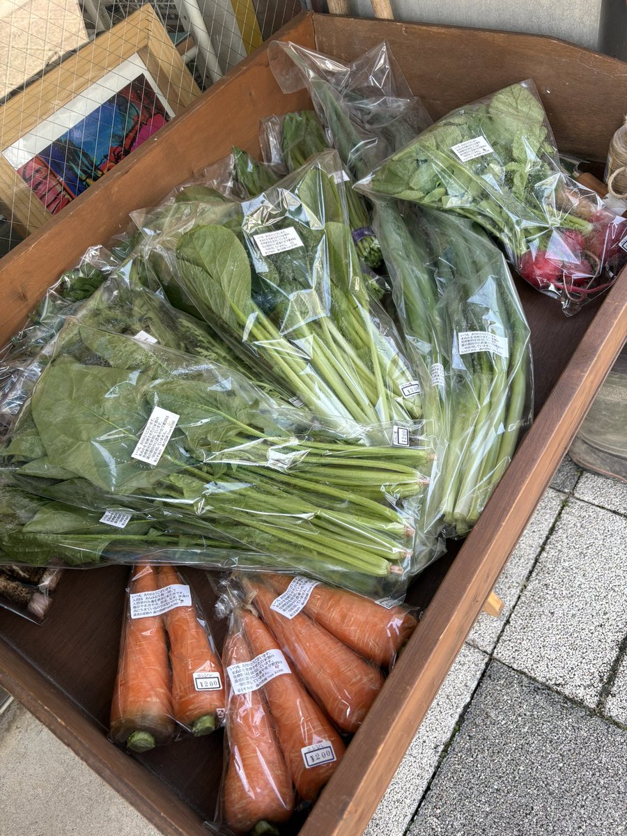 shootoranger's tweet photo. 🥕ShooKAKrange
OPEN 13:00-22:30 CLOSE

やるのよ。まず行動。
通る人通る人じーっと見ながら歩いて行きはる。反応あるので嬉しい🤩

#野菜販売はじめました
#農薬不使用野菜
#朝採れ野菜 https://t.co/7Qvzo3KPUV