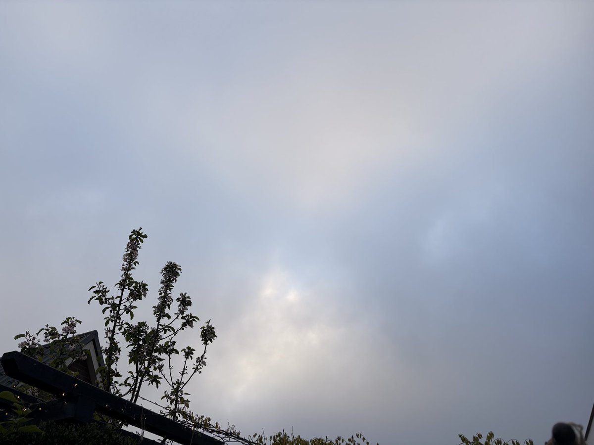 Saskia 🙋🏼‍♀️ Het wolken vrouwtje ☁️ tweet media