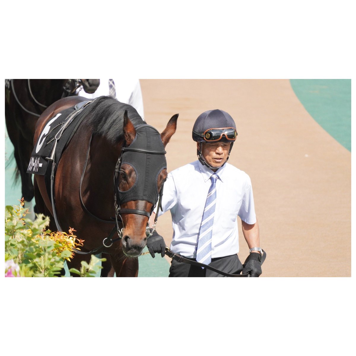 シャドーロールちゃん🪻 tweet media