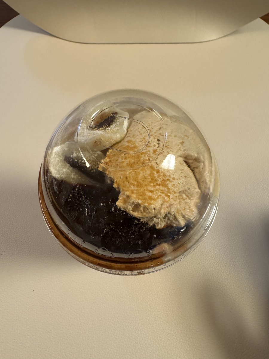 살림하는 도로로 tweet media