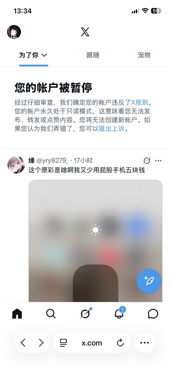南瓜（二世寻回推友 tweet media