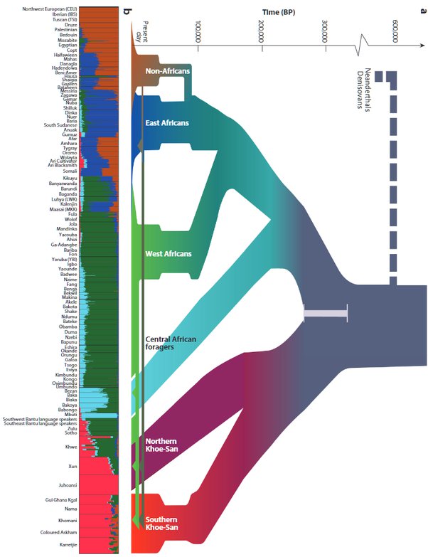 @consciousphilos The human race is mostly 'African' in the scope of ...