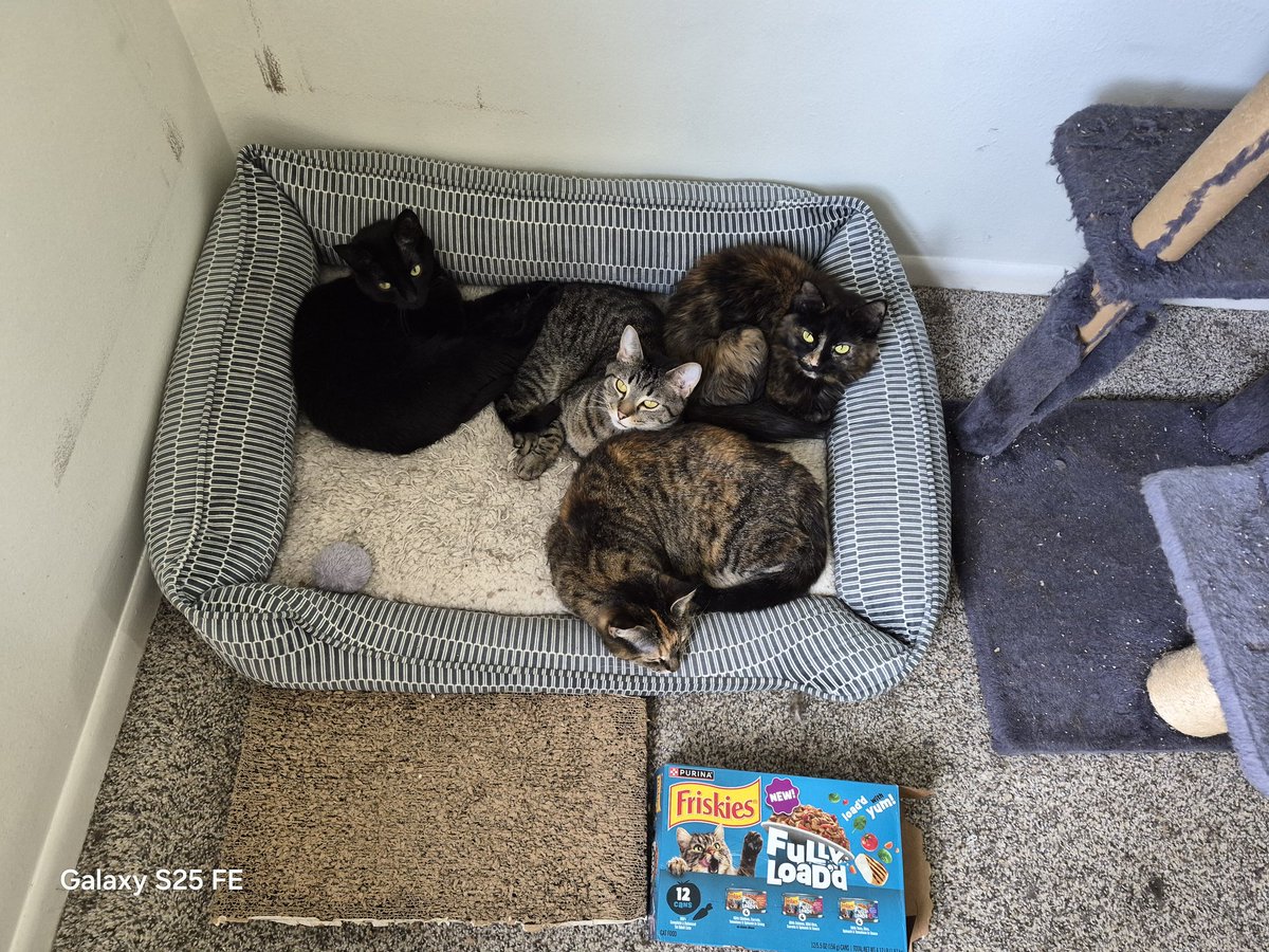 Michael Allen tweet media