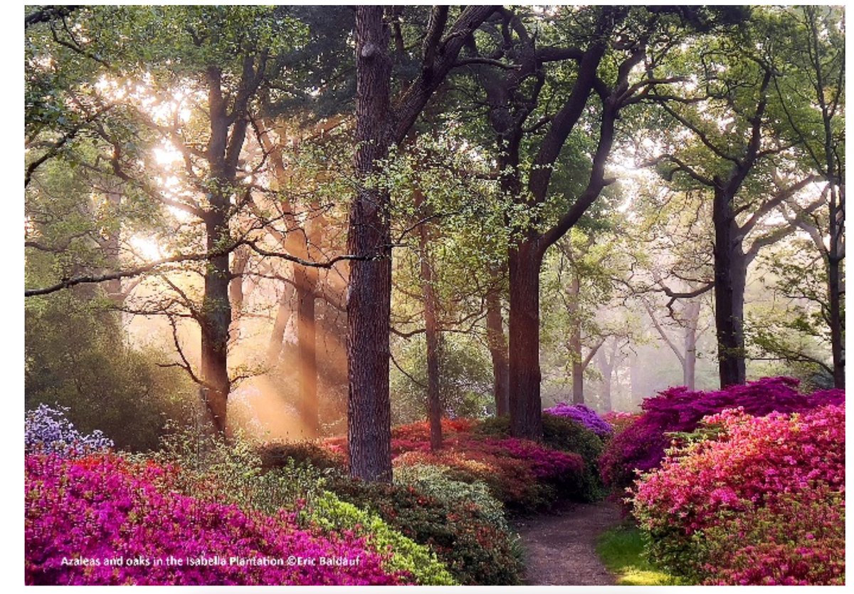 FRPTweets's tweet photo. This weekend, why not submit some of your Richmond Park photos for the Friends of Richmond Park 2027 Calendar? This popular Calendar celebrates the beauty of the Park and its wildlife, while raising funds to protect it.
Closing date: 31/5/2026
🔗: https://t.co/DePHsRZZGa https://t.co/7HHwYMzIor
