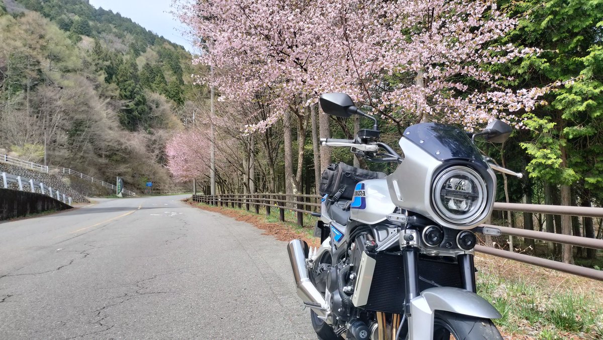 samaspeed tweet media