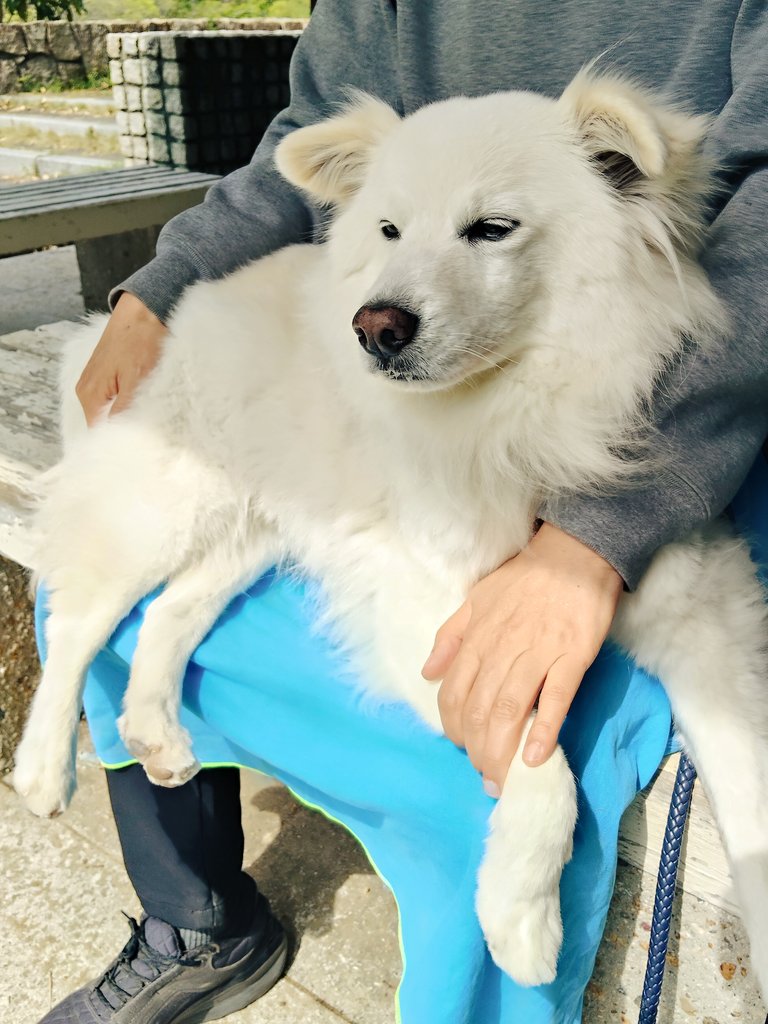 バズちゃん号🚙で奥須磨公園に行ってきたよ🐾