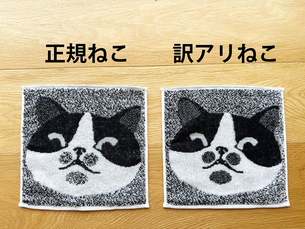 ジョーナンくん🐘【今治のタオル屋さん】 tweet media