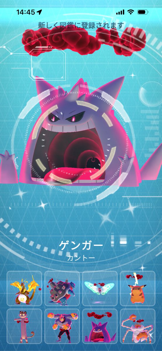 ピッコロマルゲリータ tweet media