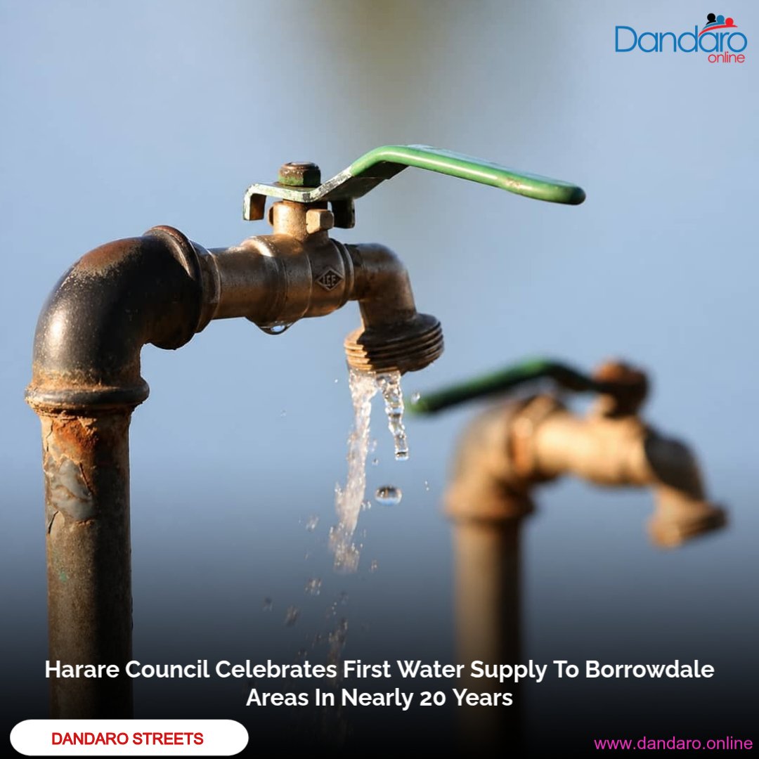 Dandaro Online tweet media