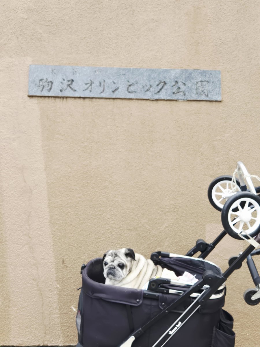 ぴーたん tweet media