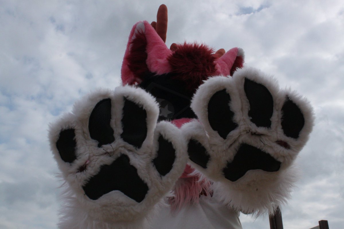 🔞 Blüsh the Derg AD - TFS/SF/ACFI 2026🔞 tweet media