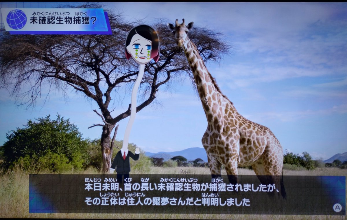 とーこ tweet media