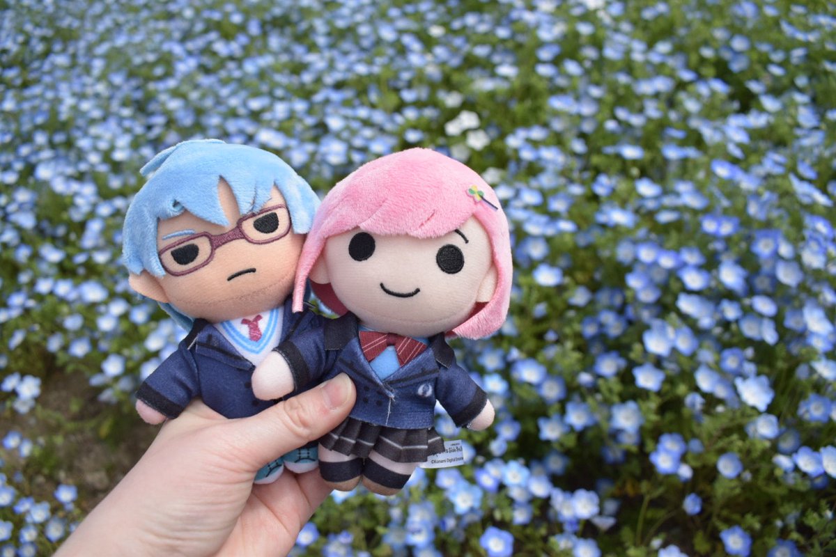 hare/ハレ tweet media