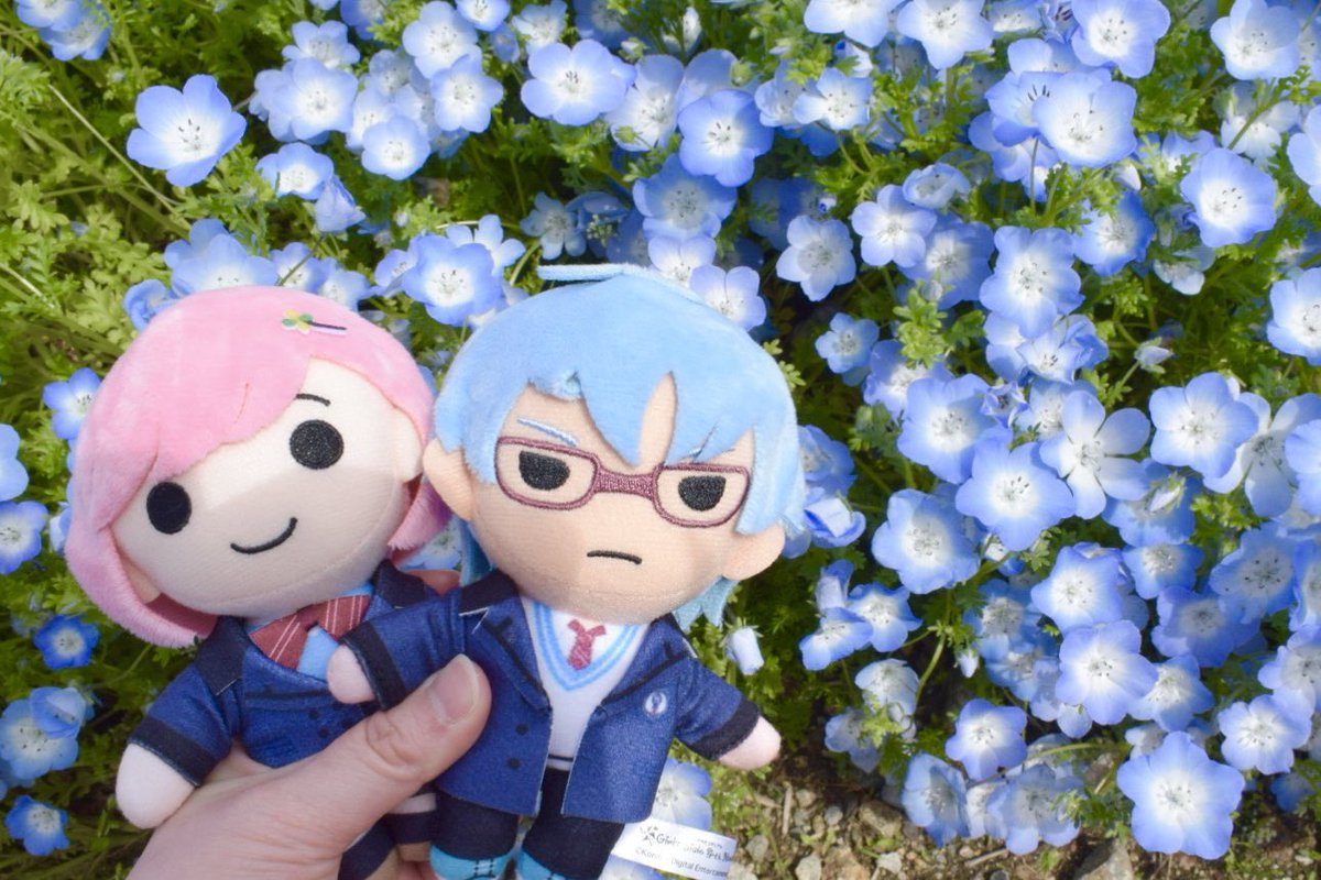 hare/ハレ tweet media