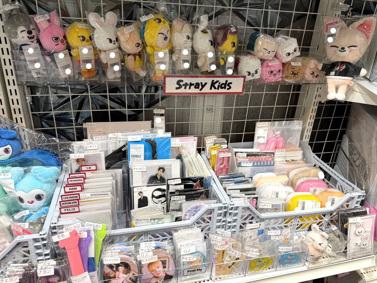 【K-POP】 グッズセット 出品商品 全てまとめ売り！！ Plus K ｜ 公式K-POPグッズの販売／買取 (@janiland) / Posts / X