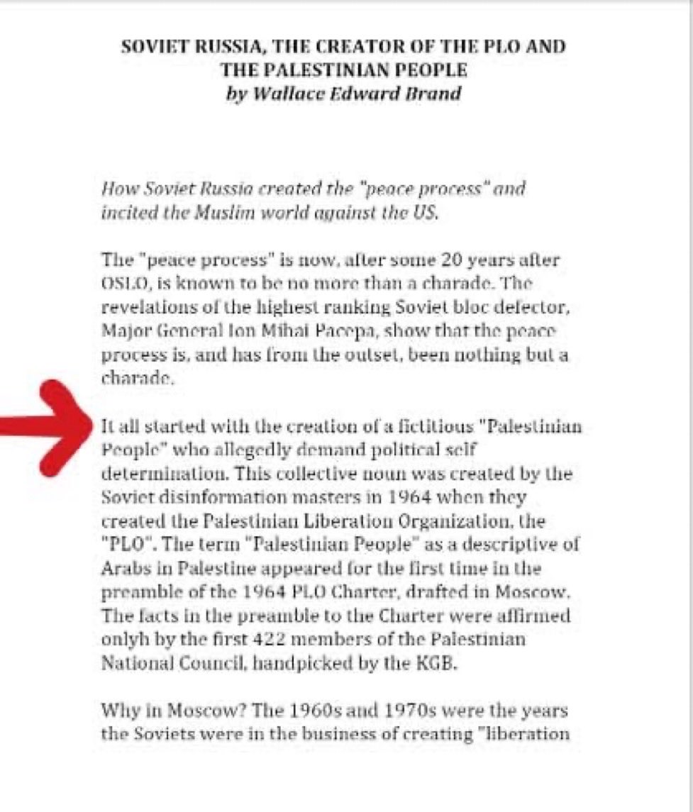 Michelle Rainer tweet media