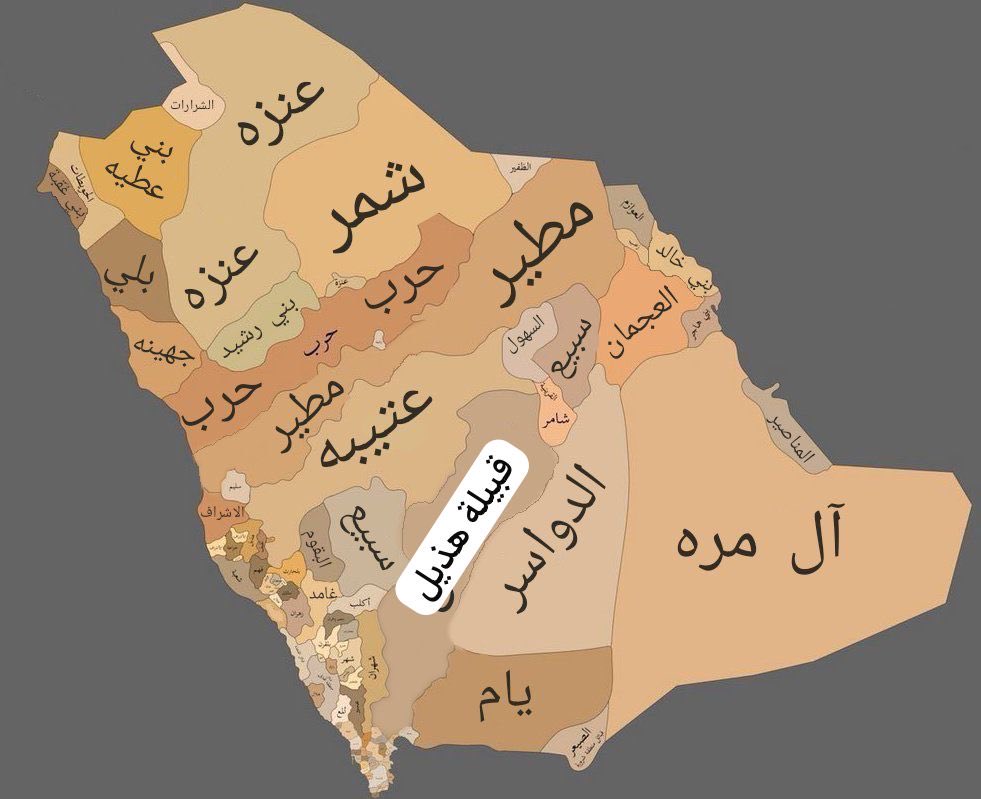 مخلد tweet media