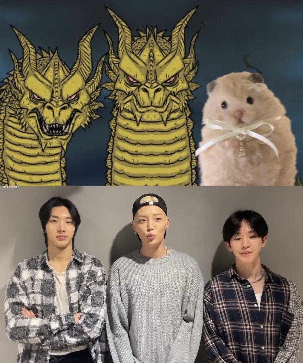 비비빔냉 tweet media