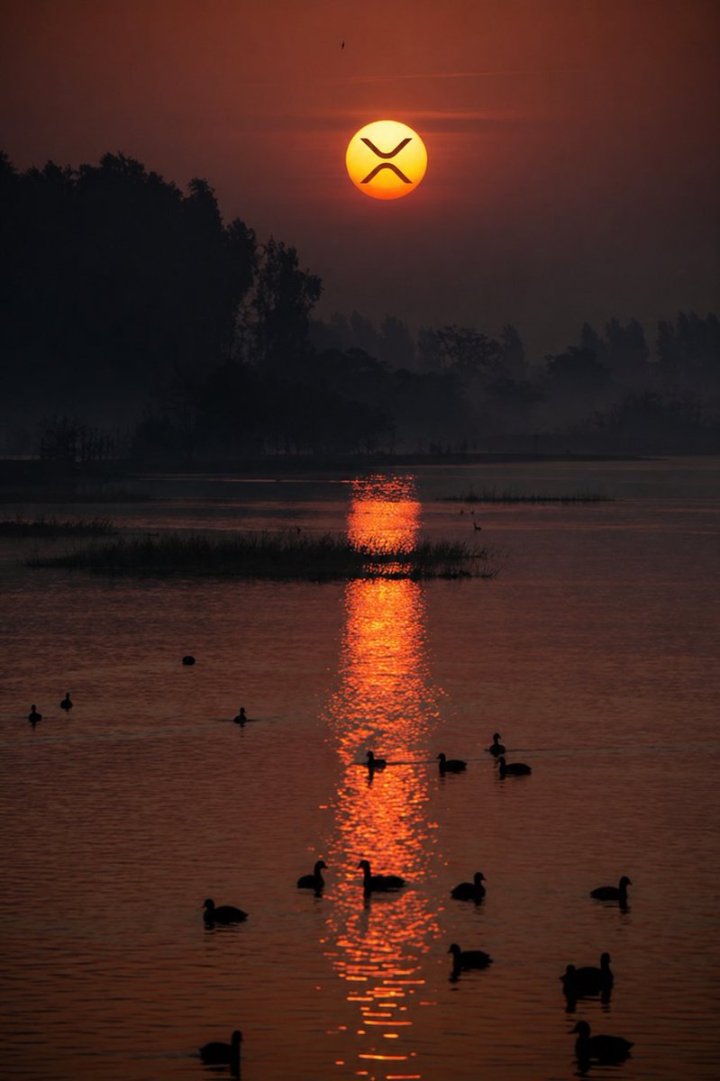 Crypto Aikido tweet media