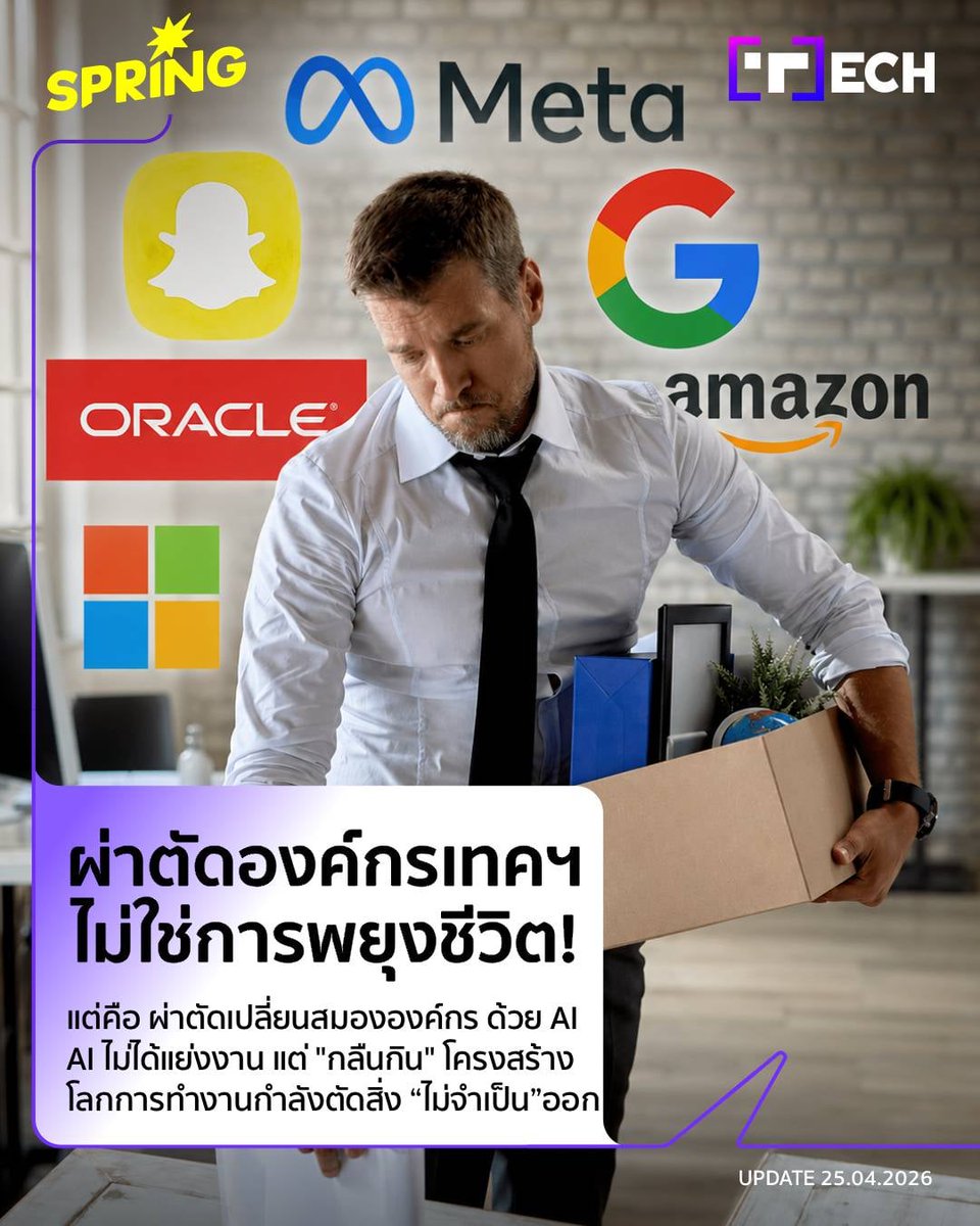 SpringNews tweet media