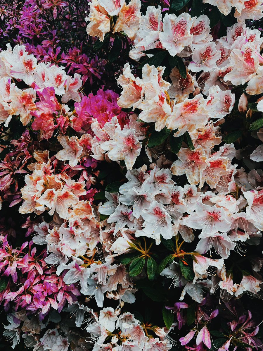 お出掛けしてきた(o^^o)