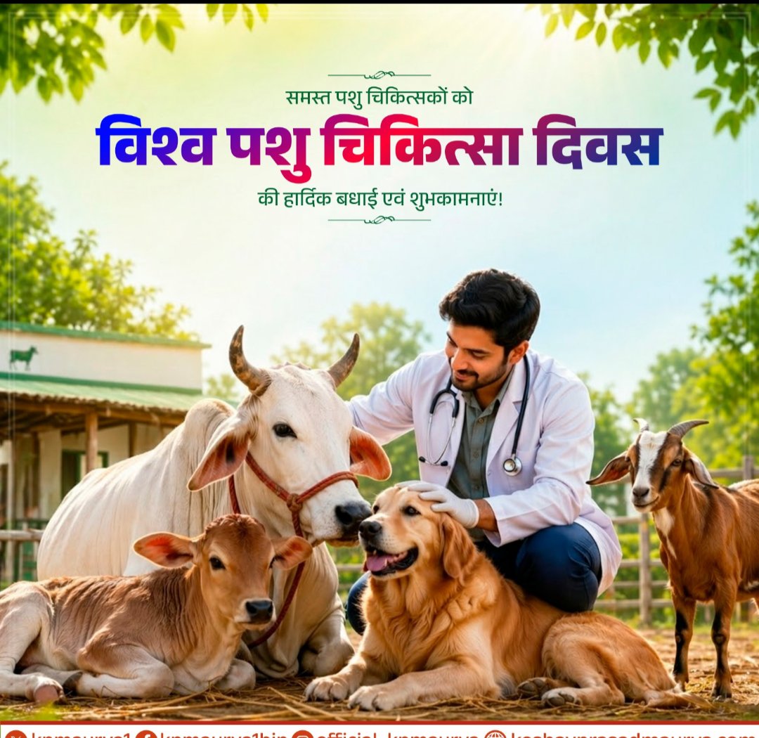 satyavi33429214's tweet image. Good morning have a nice day with lovely starting and blessings of happiness and success in your life 🌷 
#HappySunday