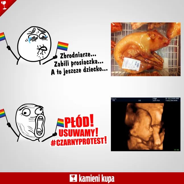 Haim Ashkenaz Puzzlonovitch tweet media