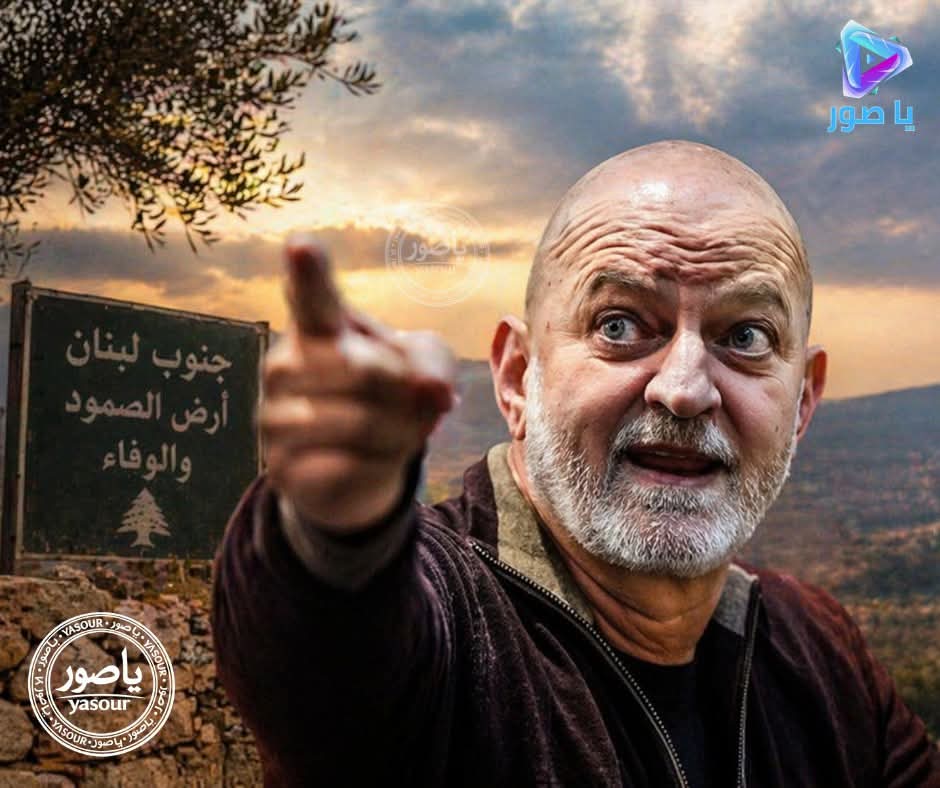 Dalal Mansour tweet media