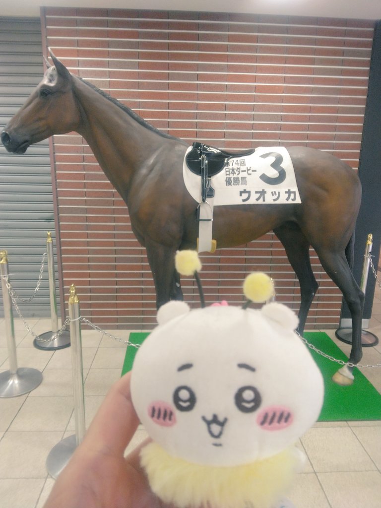 紅茶☕ tweet media