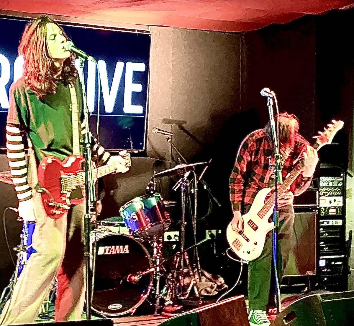 Ginger Wildheart tweet media