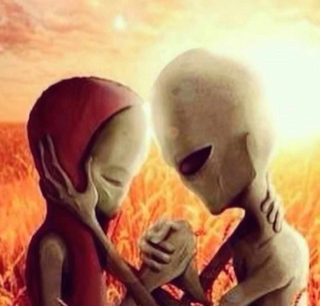 Robin2Radical tweet media