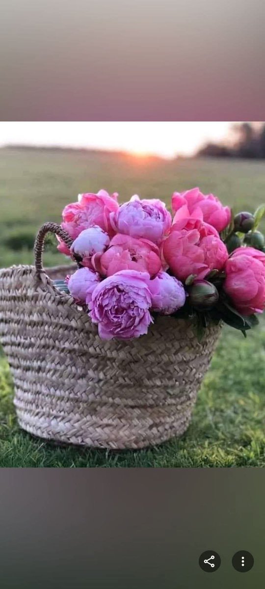 🏹𝐌𝐎𝐇𝐀𝐌𝐄𝐃 𝐒𝐀𝐁𝐄𝐑🏹 𝟙𝟡𝟙𝟙 tweet media