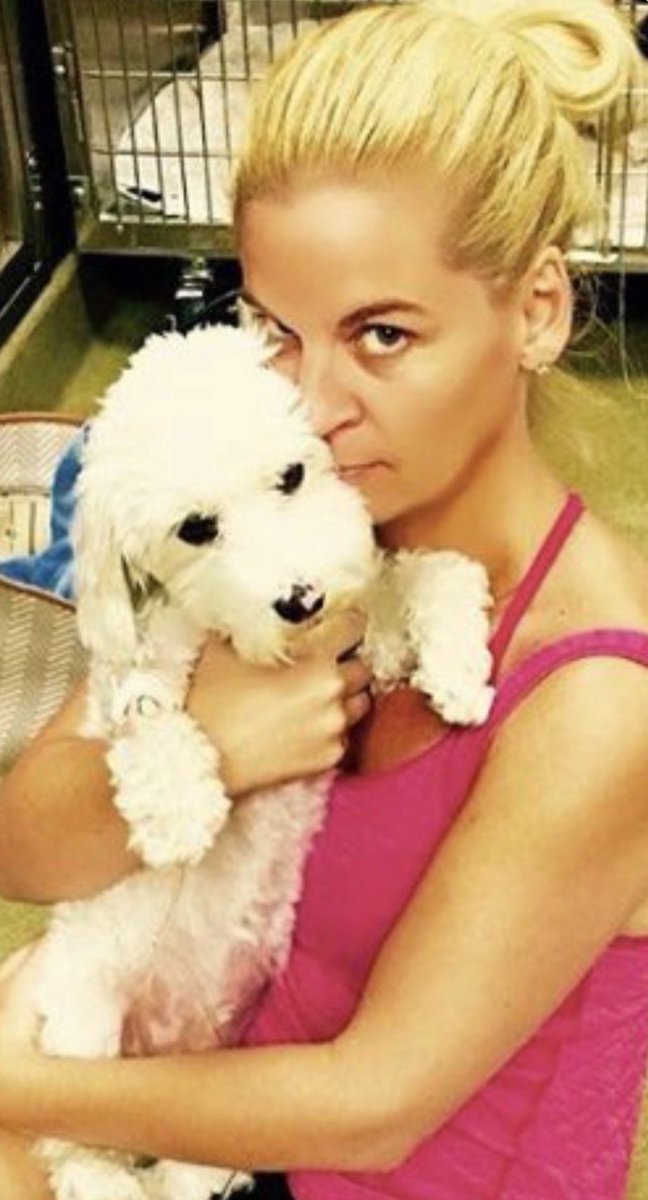 LIZ CROKIN tweet media