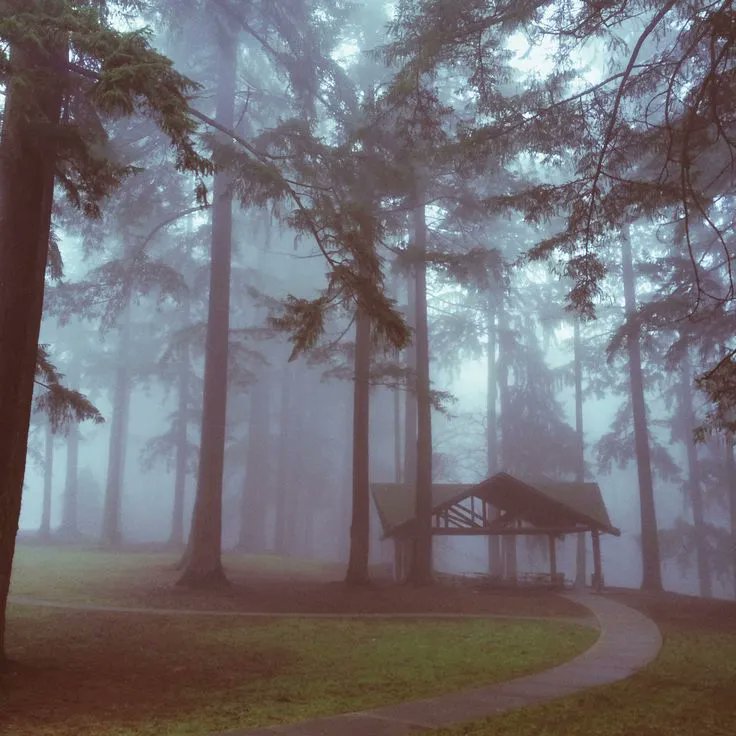 ImpInDisguise tweet media