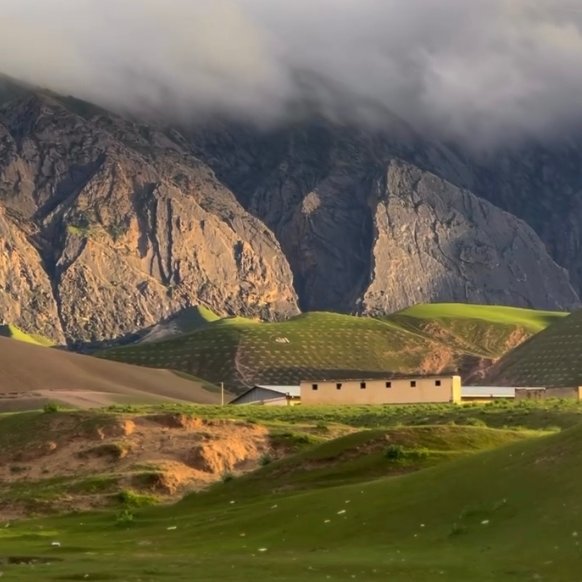 Nilou نیلوفر tweet media