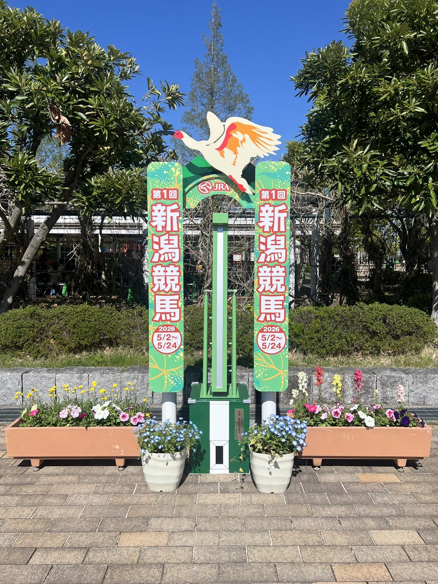 JRA新潟競馬場 (@JRA_Niigata) / Posts / X