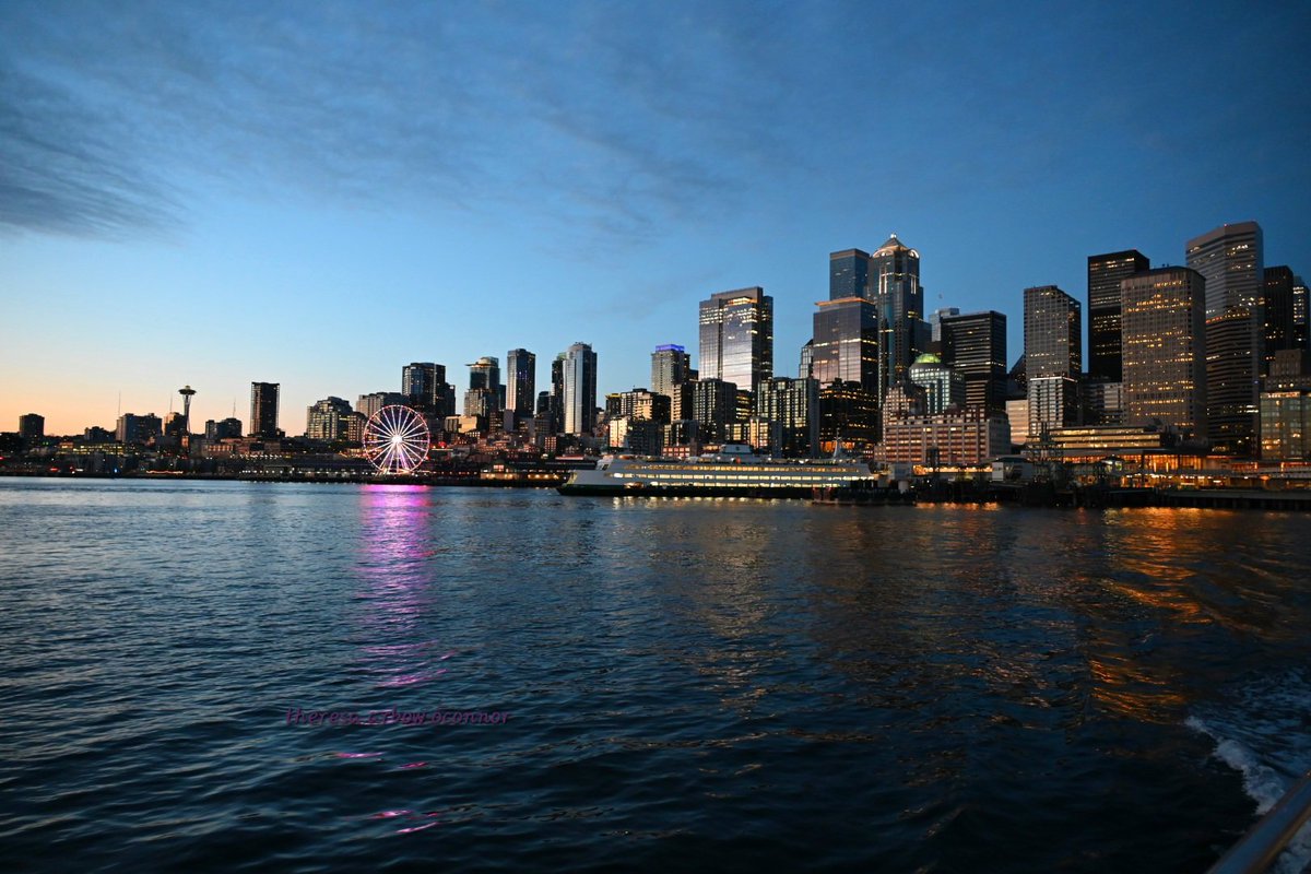 TheresaArbowOC's tweet image. Gorgeous evening ♡ #Seattle #sunset #wawx #pnw