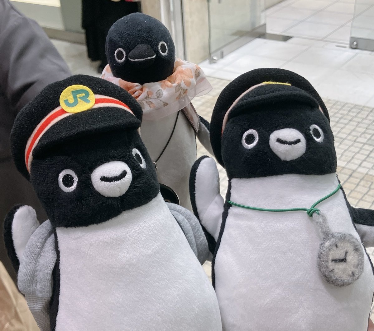 昨日はsabaさんみみずくさんとペン活🐧♡
色々な場所を巡ってとっても楽しい時間でした
最後のお別れの時間は寂しかったぺん🥲