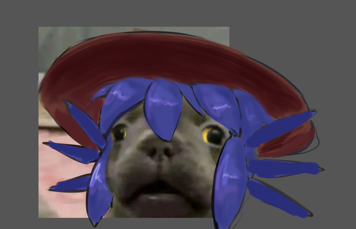 TheNightSoul1 tweet media