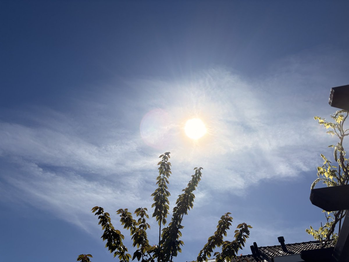 Saskia 🙋🏼‍♀️ Het wolken vrouwtje ☁️ tweet media